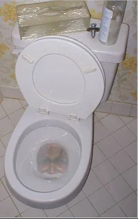 SCP-789-J