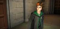 Merula snyde