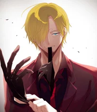 Assassin Sanji
