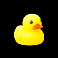 A Normal Rubber Duck