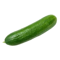 Cucumber