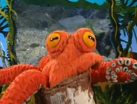 Octavio the Octopus