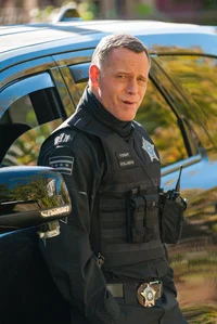 Hank Voight 