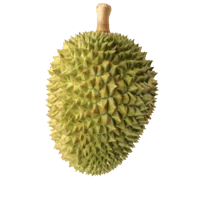 Durian