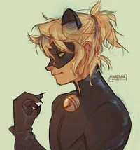 Chat Noir