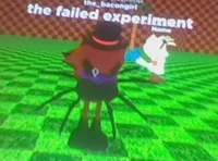 the faild expirament