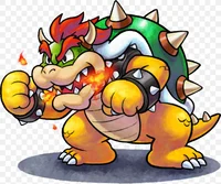 King Bowser Koopa