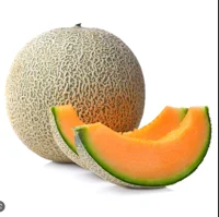 Cantaloupe