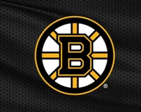 Boston Bruins