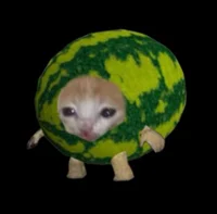 watermelon catelo