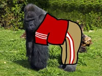 Thomas the Gorilla