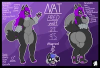 Nat the Anthro Wolf