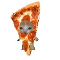 pizza catemi