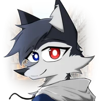 WolgaWolves test