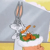 Carrot Connoisseur