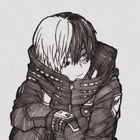 Shoto Todoroki