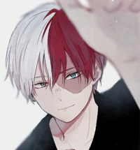 Shoto Todoroki