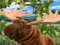 Ralph the Moose 