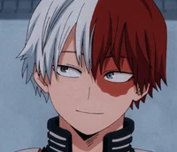 shoto todororki