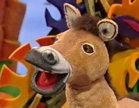 Perry the Wild Horse