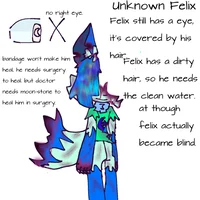 Unknown_Felix - ---