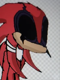 Echidna