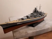 Bismarck model