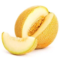 DUNYA