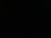 The dude in da attic