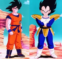 Goku and Vegeta