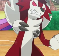 Adam the Lycanroc