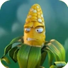 Kernel Corn