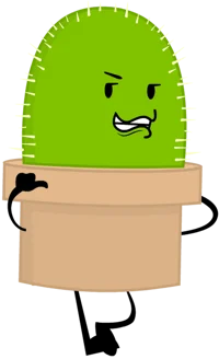 Cactus