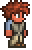 Terraria Player