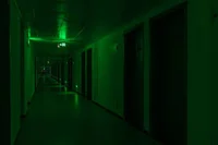 Insane Edd