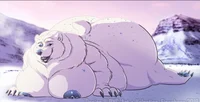 Pudgy polar bear