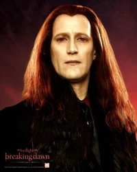 marcus volturi