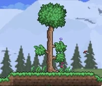 Terraria Tree