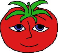Mr tomato