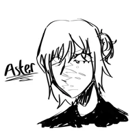 Aster