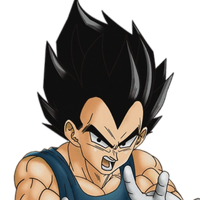 Vegeta IV