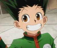 Gon Freecss 