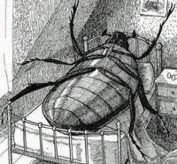 Gregor Samsa