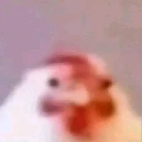 Alternate timeline R