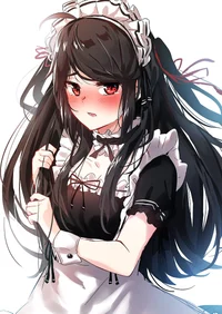 Emotional Maid 