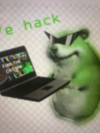 Hacker Chomik
