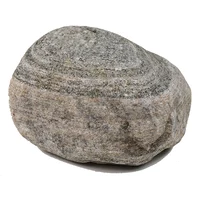 Stone