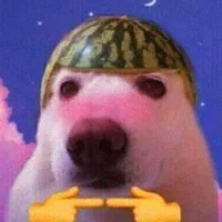Gen Z dog