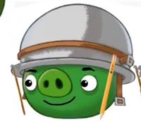 Helmet pig