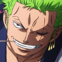 Bully zoro